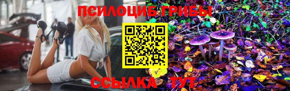 Псилоцибиновые грибы GOLDEN TEACHER Владивосток